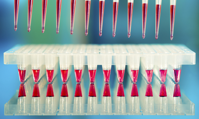 High-throughput screening (HTS) and high-content screening (HCS) 